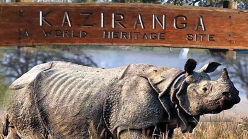 Kaziranga National Park breaks revenue records amidst tourism surge