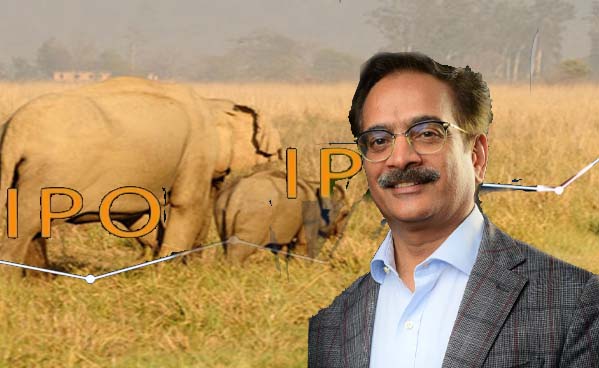 IPO bound Jungle Camps banks on new safari experiences to expand revenues