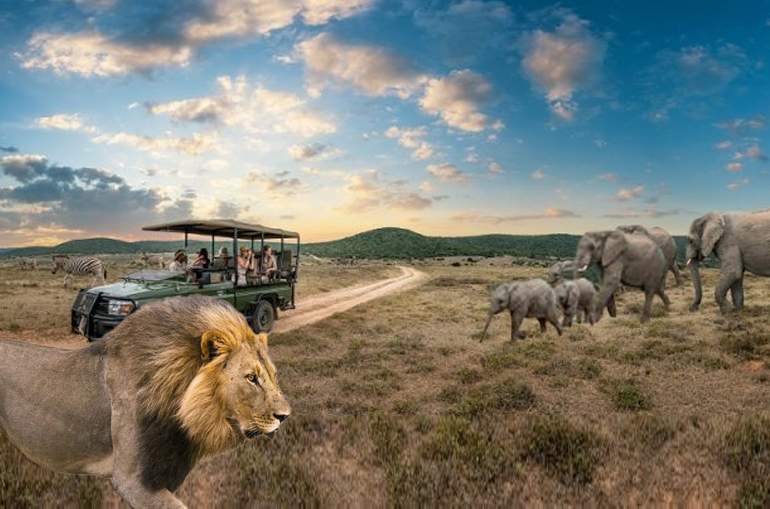 South Africa launches initiative to boost tourism from India and China 1