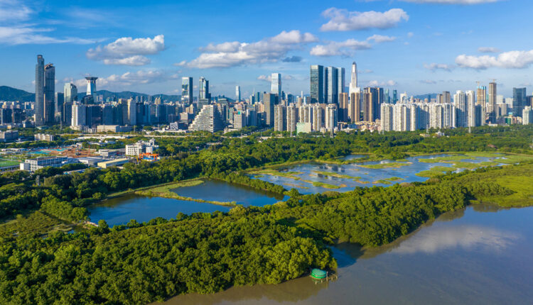 China International Mangrove Centre