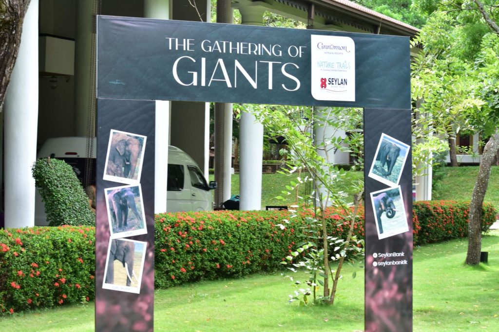 Cinnamon Habarana Welcomes Indian Travellers to Witness Asia’s Largest Elephant Gathering in July 2025 1 DSC 6939